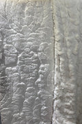 Adult 56x72 Premium/Premium