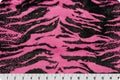 Raspberry Tiger Seal (Baby)